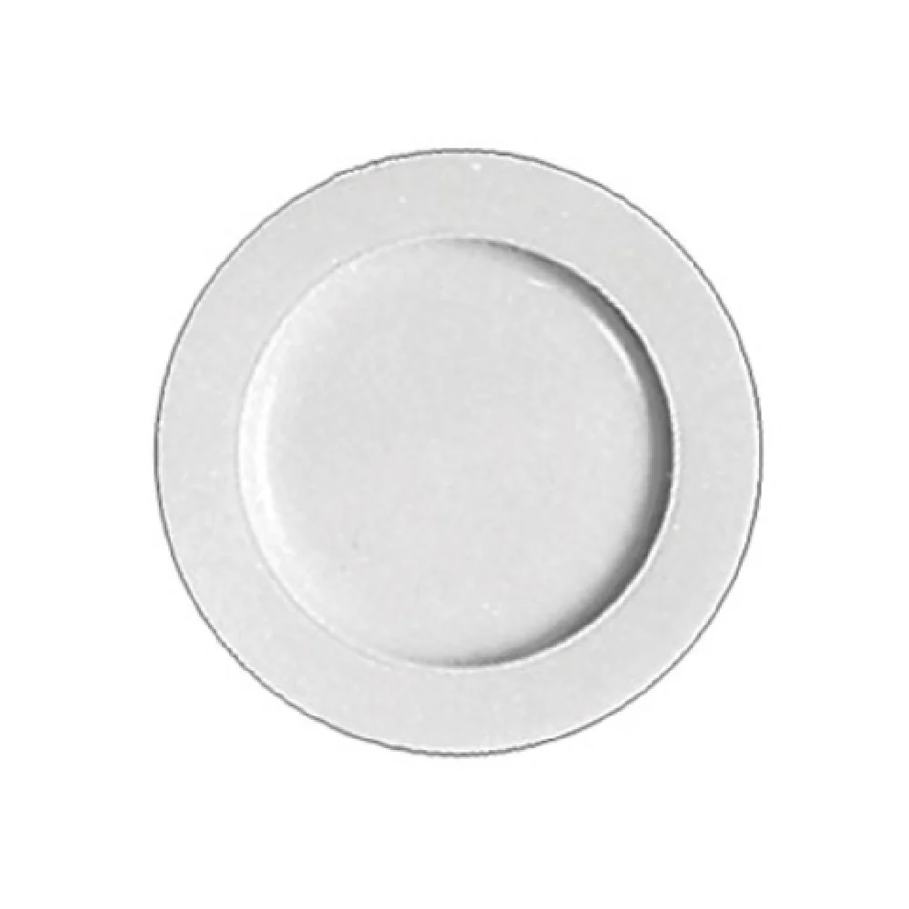 BauscherHepp 460031 12-2/5 Inch Diameter Plate Flat Porcelain Round BauscherHepp 460031 12-2/5 Inch Diameter Plate Flat Porcelain Round