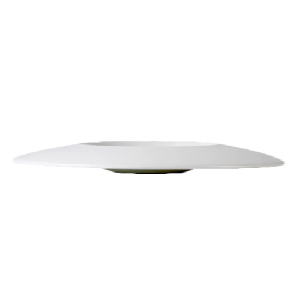 Steelite 9001C600 12 Inch Large Plate 19 Oz Round Alumina Vitrified Steelite 9001C600 12 Inch Large Plate 19 Oz Round Alumina Vitrified
