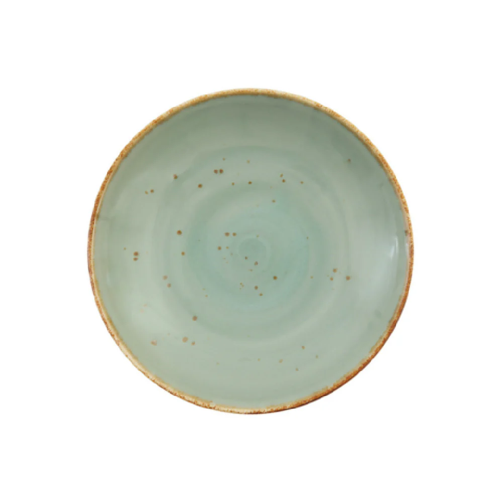 Fortessa TC7300.DV.5.98 10.25 Inch Coupe Pasta Bowl Celadon Vitrified China
