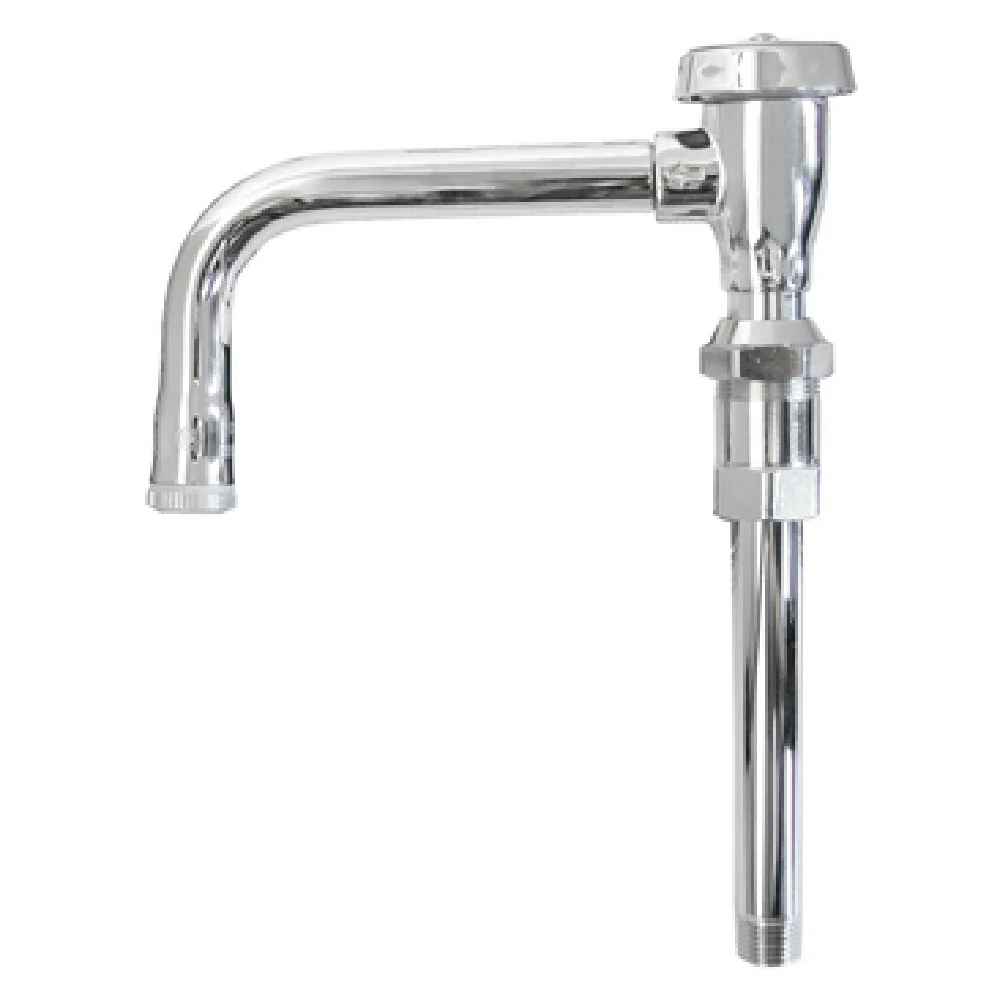 T&S Brass B-0406-04 11-3/4 Inch Swivel Vacuum Breaker Faucet Polished Chrome
