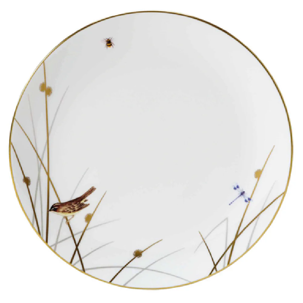 Steelite 82108AND0244 10.5 Inch Coupe Plate Round Bone China Signature Steelite 82108AND0244 10.5 Inch Coupe Plate Round Bone China Signature