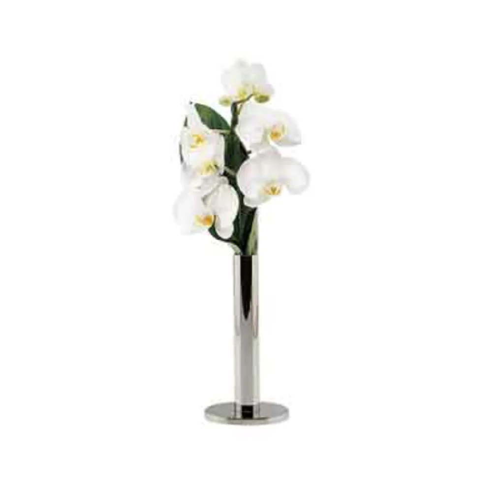 BauscherHepp 12.4844.1800 Vase 18/10 Stainless Steel Bud Vase with Profile by Hepp