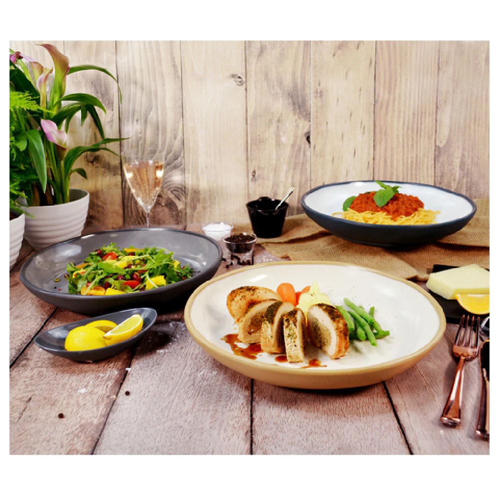 BauscherHepp TCM4605 15-1/4 Inch Diameter Deep Round Dish Melamine Beige BauscherHepp TCM4605 15-1/4 Inch Diameter Deep Round Dish Melamine Beige