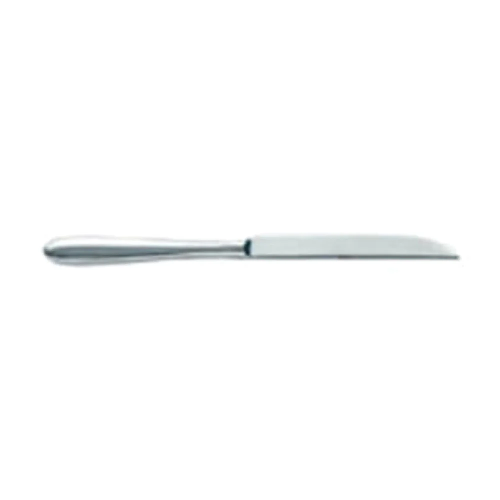 Arc Cardinal T0426 9.25 Inch Blade 1.4 Inch Handle Steak Knife Stainless Steel