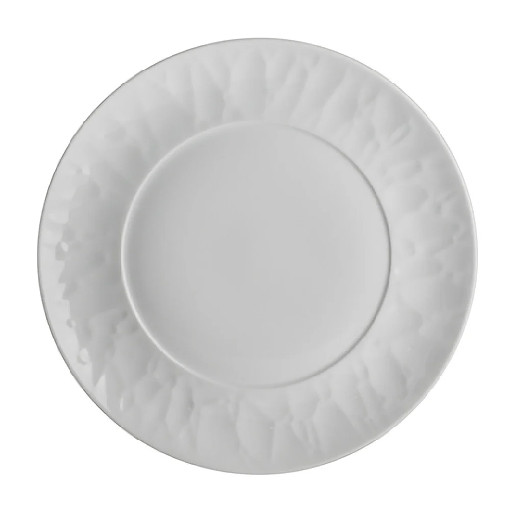 Steelite 61192ST7906 9.5 Inch Round Plate Cool Blue-White Porcelain 24 Packs