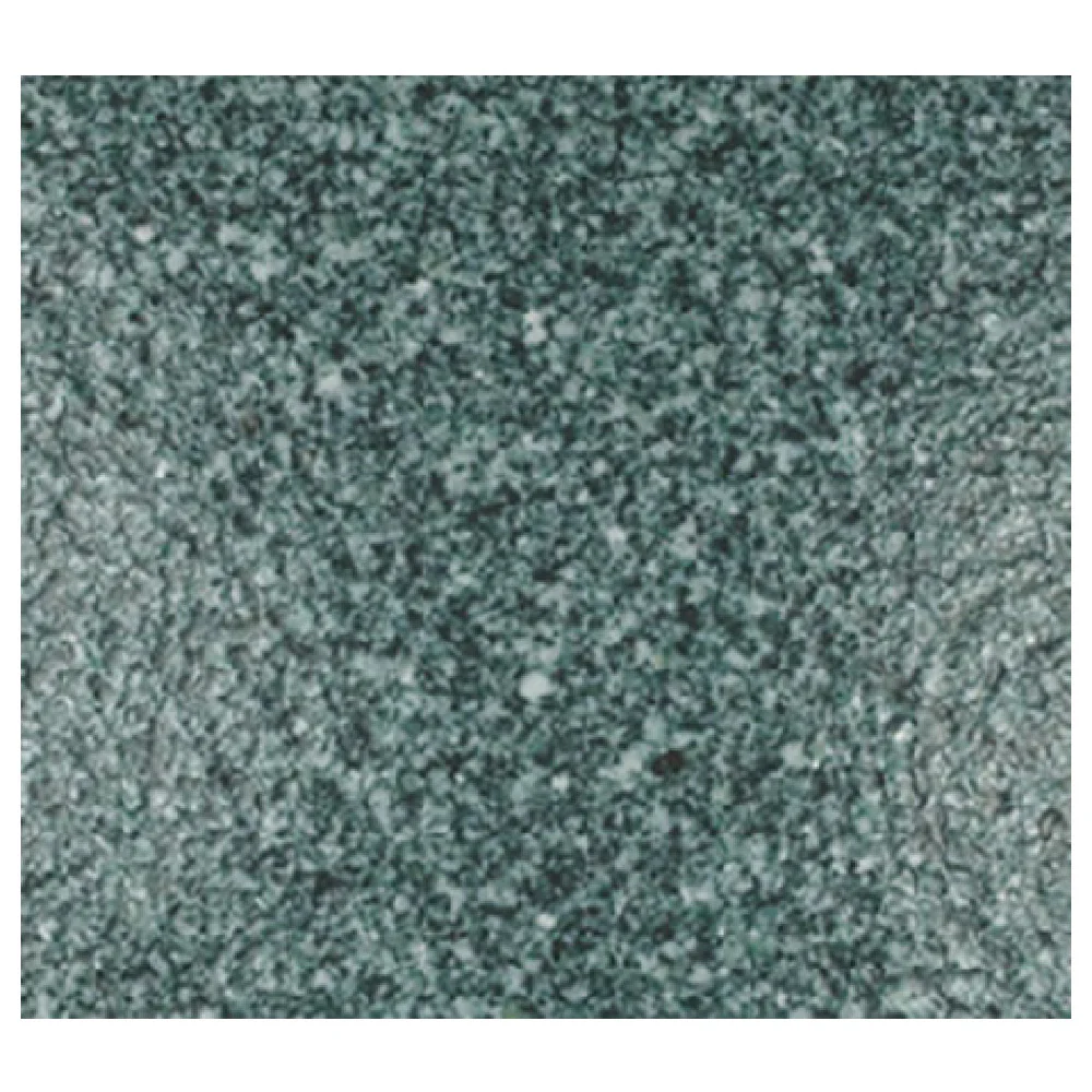 GET Enterprises TPUD45J 19.69 Inch Jade Aluminum Food Pan with Resin Coating GET Enterprises TPUD45J 19.69 Inch Jade Aluminum Food Pan with Resin Coating