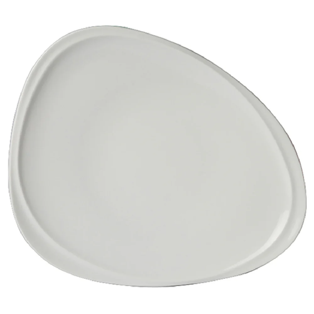 Steelite 61110ST0701 9.25 Inch Plate Drift Royal Porcelain - 2 Dozen Packs