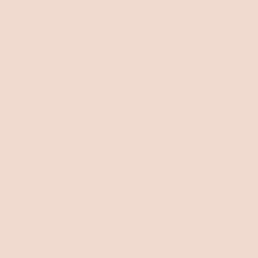 Cambro 1219D106 12 Inch Dietary Tray for Patient Feeding Fiberglass Light Peach Cambro 1219D106 12 Inch Dietary Tray for Patient Feeding Fiberglass Light Peach