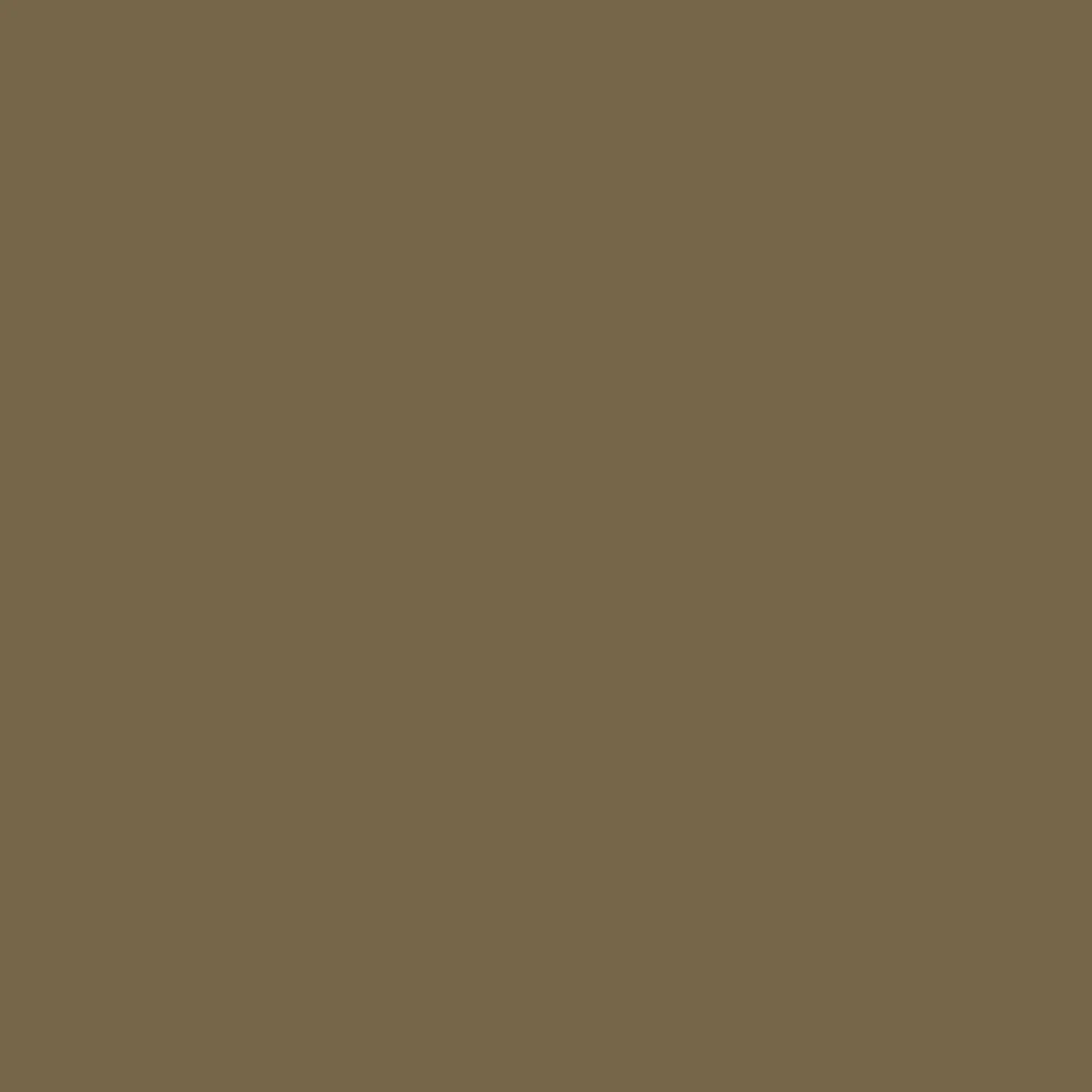 Cambro 1219D513 12 Inch Dietary Tray For Patient Feeding Fiberglass Bay Leaf Brown Cambro 1219D513 12 Inch Dietary Tray For Patient Feeding Fiberglass Bay Leaf Brown