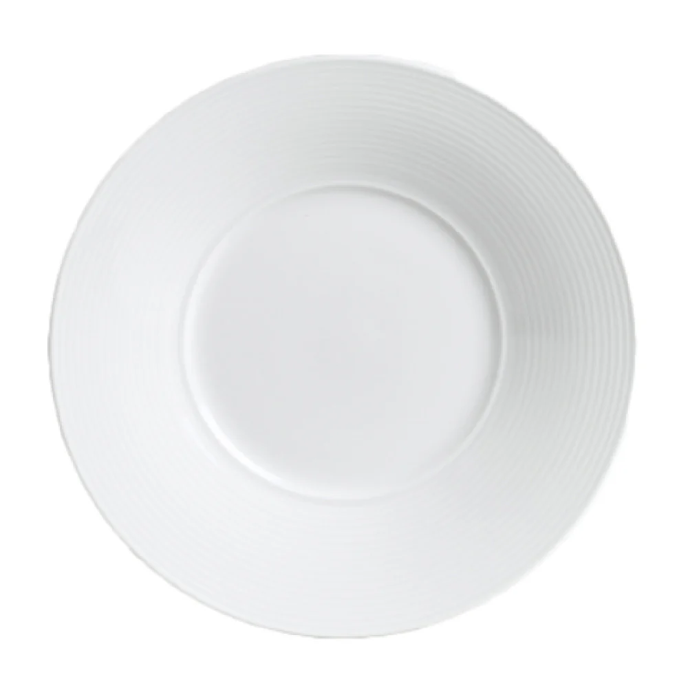 Steelite 6300P016 9.5 Inch Broad Rim Plate Aura Porcelain Cool Blue-White Steelite 6300P016 9.5 Inch Broad Rim Plate Aura Porcelain Cool Blue-White