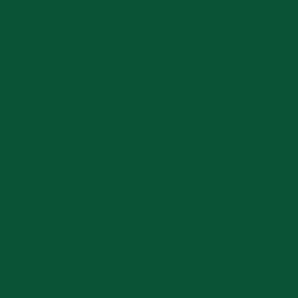 Cambro 1219D119 12 Inch Dietary Tray with Reinforced Fiberglass Sherwood Green Cambro 1219D119 12 Inch Dietary Tray with Reinforced Fiberglass Sherwood Green
