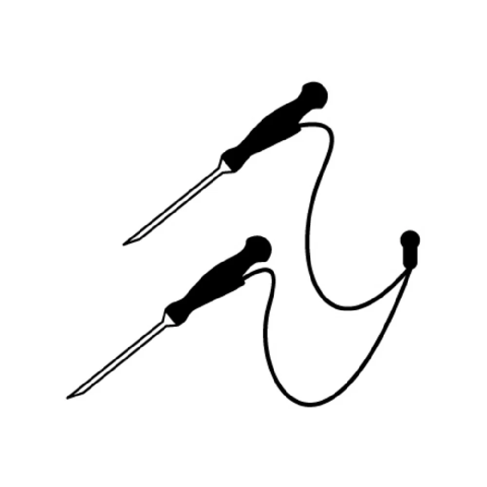 Lainox KSM002 Multi Probe System (2) Multipoint Core Probes 0.12
