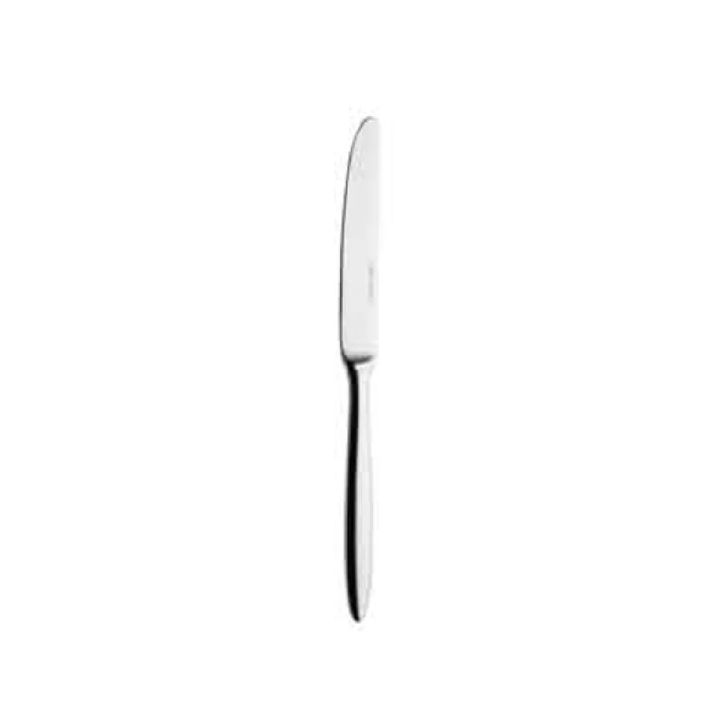 BauscherHepp 01.0050.1800 9-7/16 Inch Dinner Knife 18/10 Stainless Steel