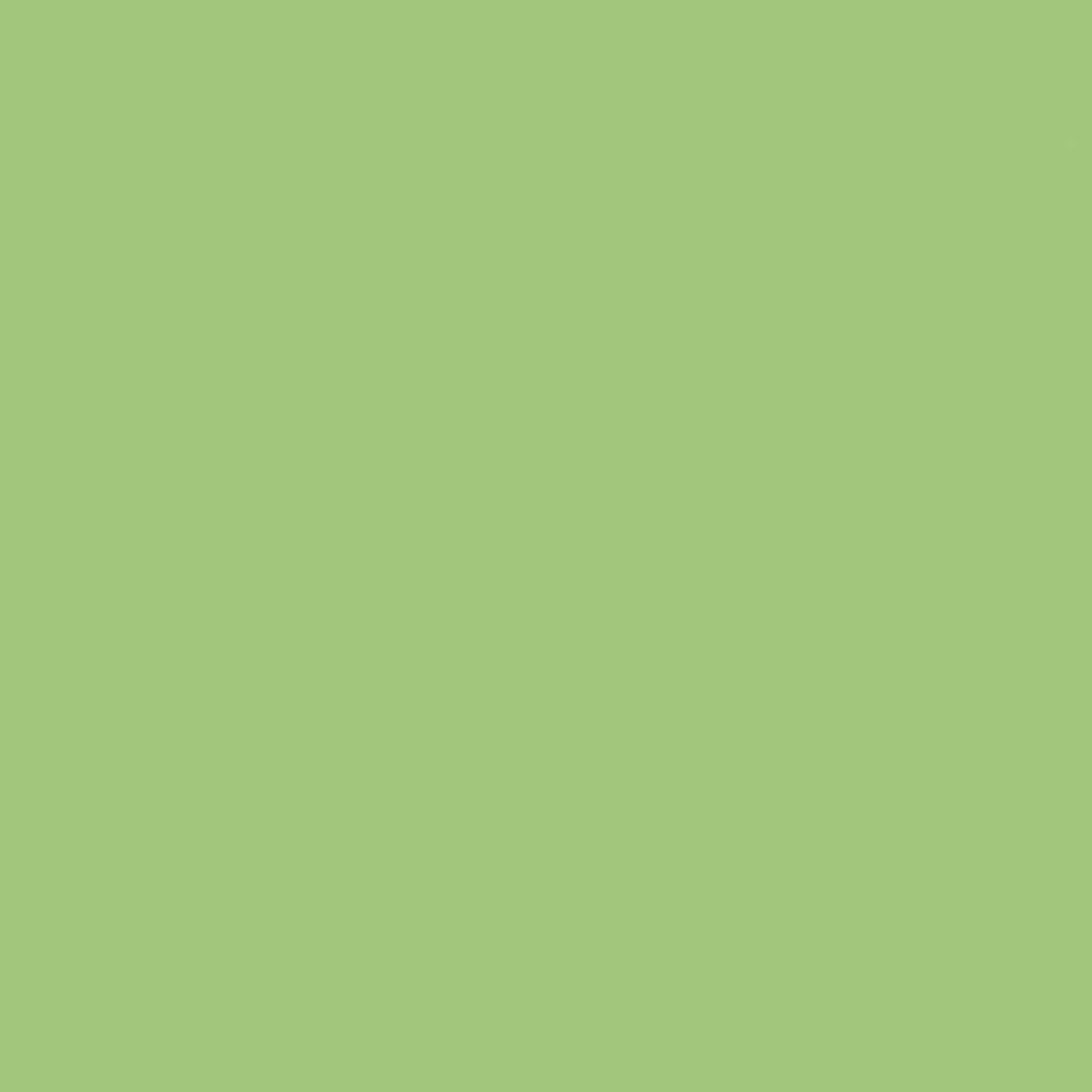 Cambro 1222D113 12 Inch Dietary Tray for Patient Feeding in Green Fiberglass Cambro 1222D113 12 Inch Dietary Tray for Patient Feeding in Green Fiberglass
