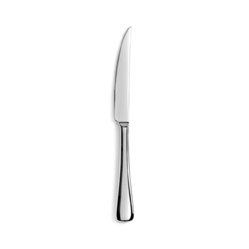 Revol 656658 9-1/2 Inch Blade and Handle Stainless Steel Steak Knife Mirror Finish