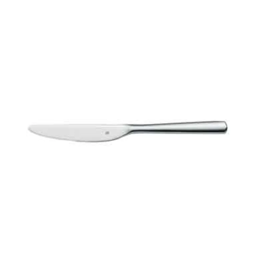 BauscherHepp 12.2303.6049 9 Inch Monobloc Dinner Knife 18/10 Stainless Steel