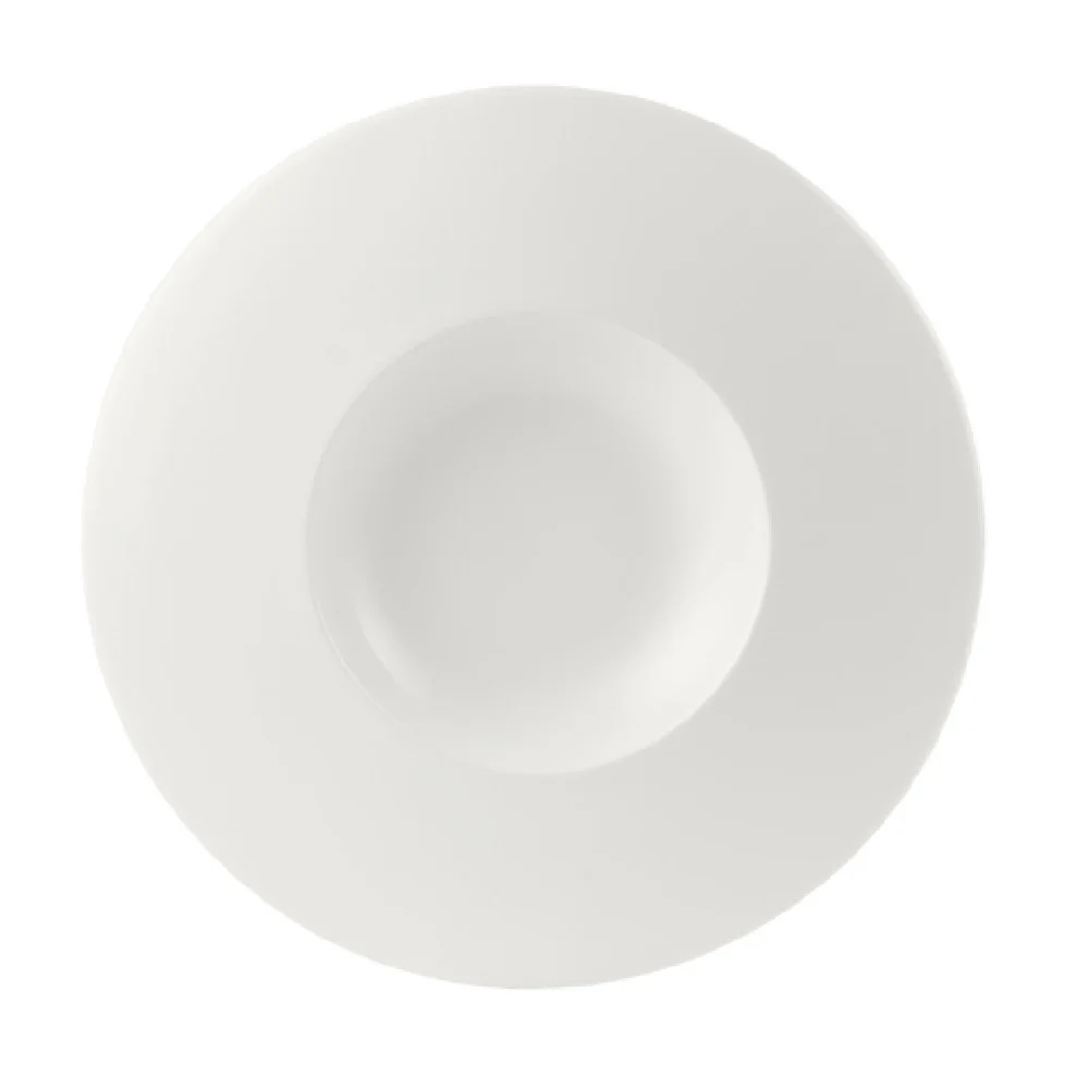 Steelite 9001C601 12.0 Inch Medium Well Plate 13.0 Oz Round Alumina Vitrified Steelite 9001C601 12.0 Inch Medium Well Plate 13.0 Oz Round Alumina Vitrified