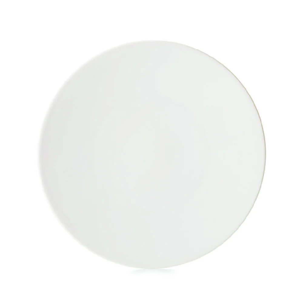Revol 660545 11 Inch Diameter Round Plate with Porcelain Alabaster White Finish Revol 660545 11 Inch Diameter Round Plate with Porcelain Alabaster White Finish
