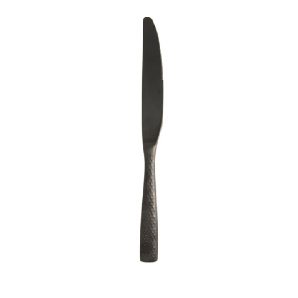 Fortessa 1.6B.102.FC.005 9.9 Inch Table Knife Dishwasher Safe 18/10 Stainless Steel Black