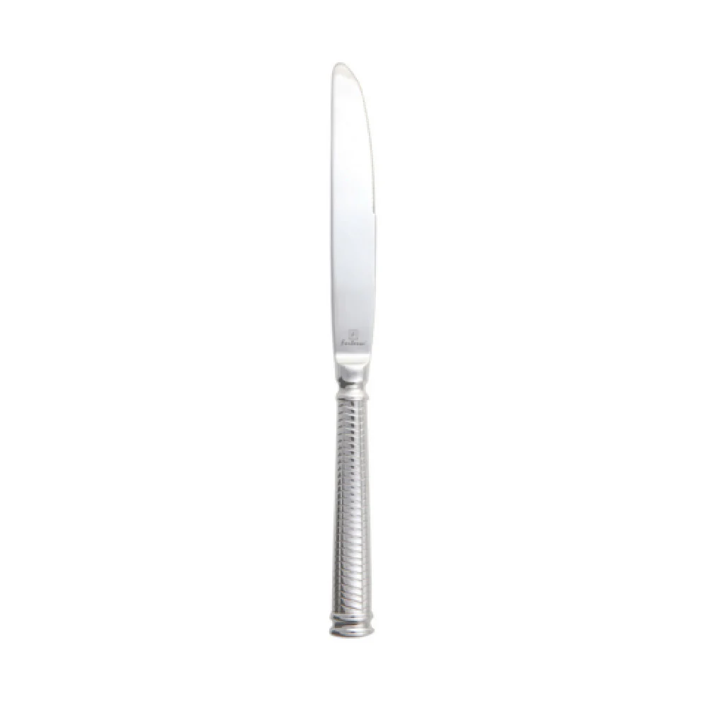 Fortessa 1.5.134.00.005 9.6 Inch Blade 18/10 Stainless Steel Dinner Knife