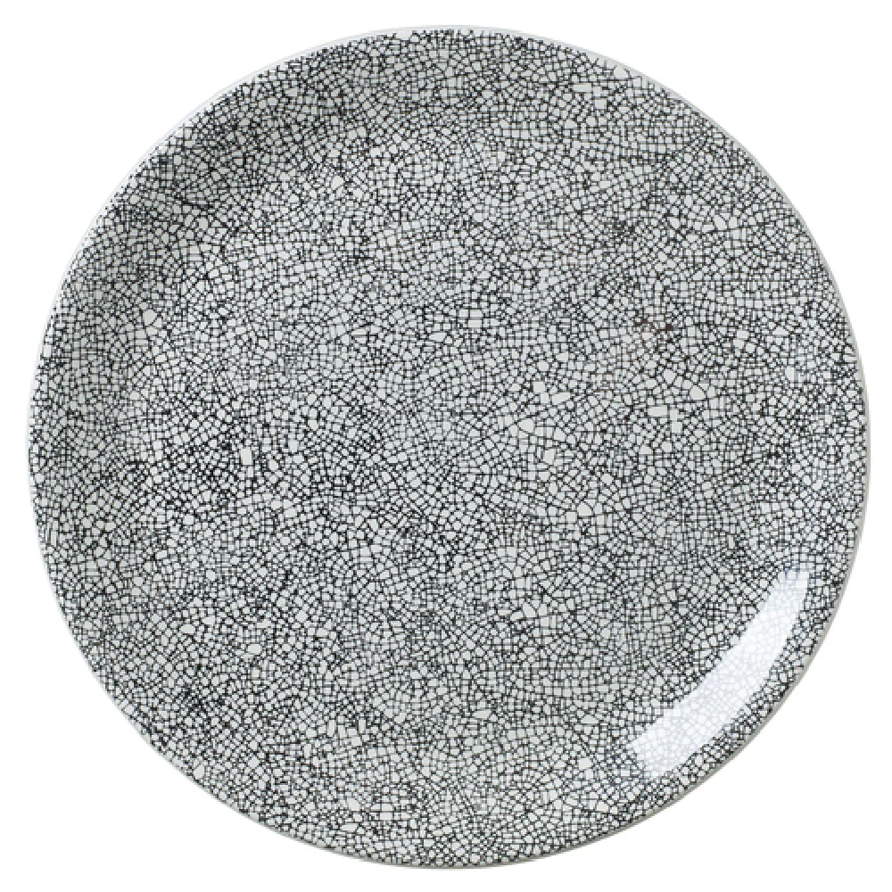 Steelite 17600565 11 Inch Round Coupe Plate Ink Crackle Black Ceramic Steelite 17600565 11 Inch Round Coupe Plate Ink Crackle Black Ceramic