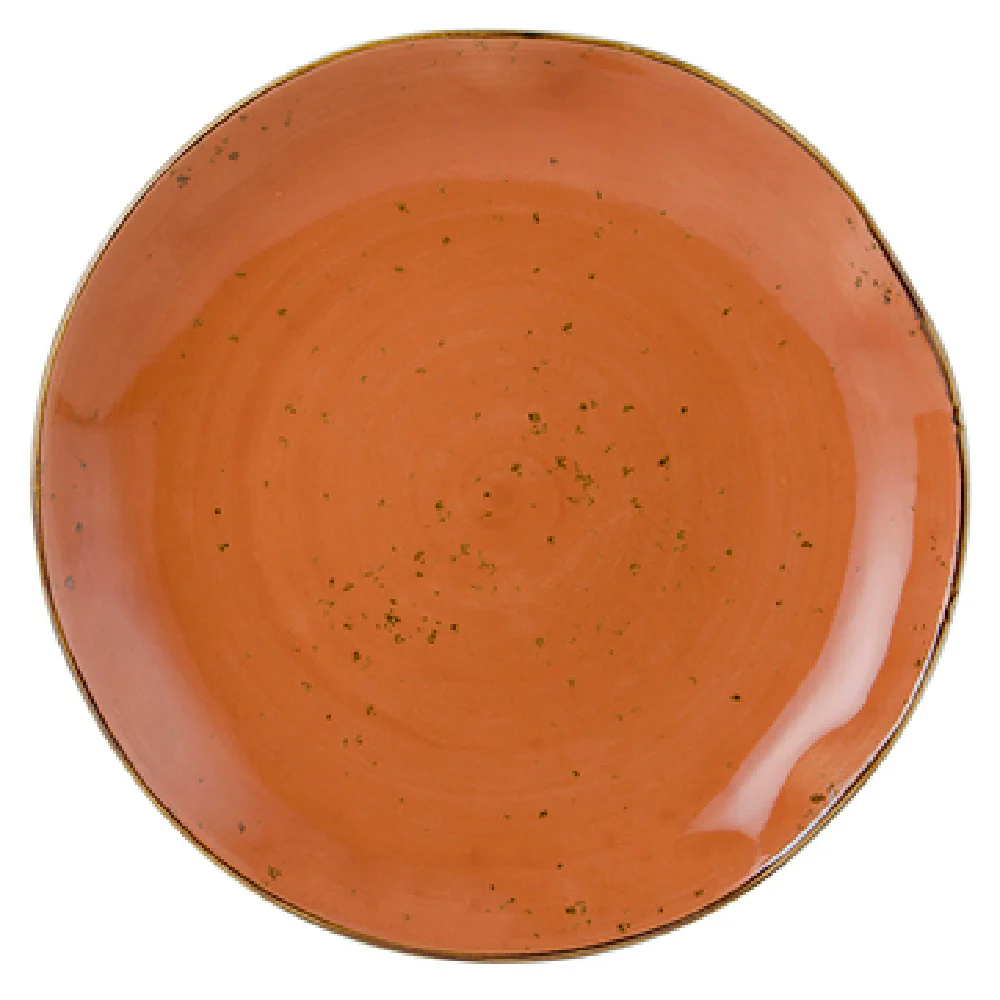 Tuxton GGC-006 10-1/4 Inch Diameter Round Plate Porcelain Lead-Free and Dishwasher Safe Tuxton GGC-006 10-1/4 Inch Diameter Round Plate Porcelain Lead-Free and Dishwasher Safe