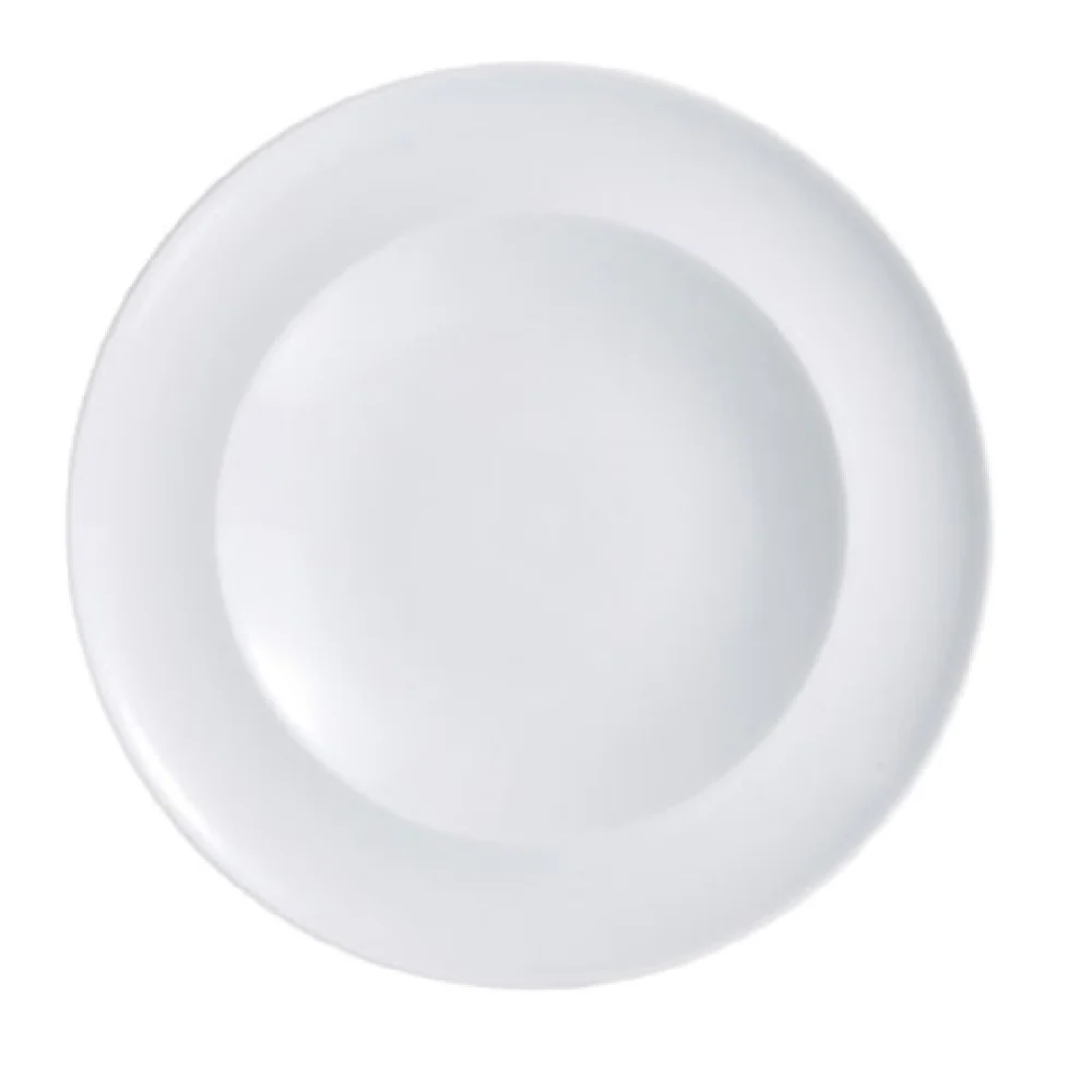 Arc Cardinal R0902 10 Inch Vintage Rim Plate High Alumina Porcelain