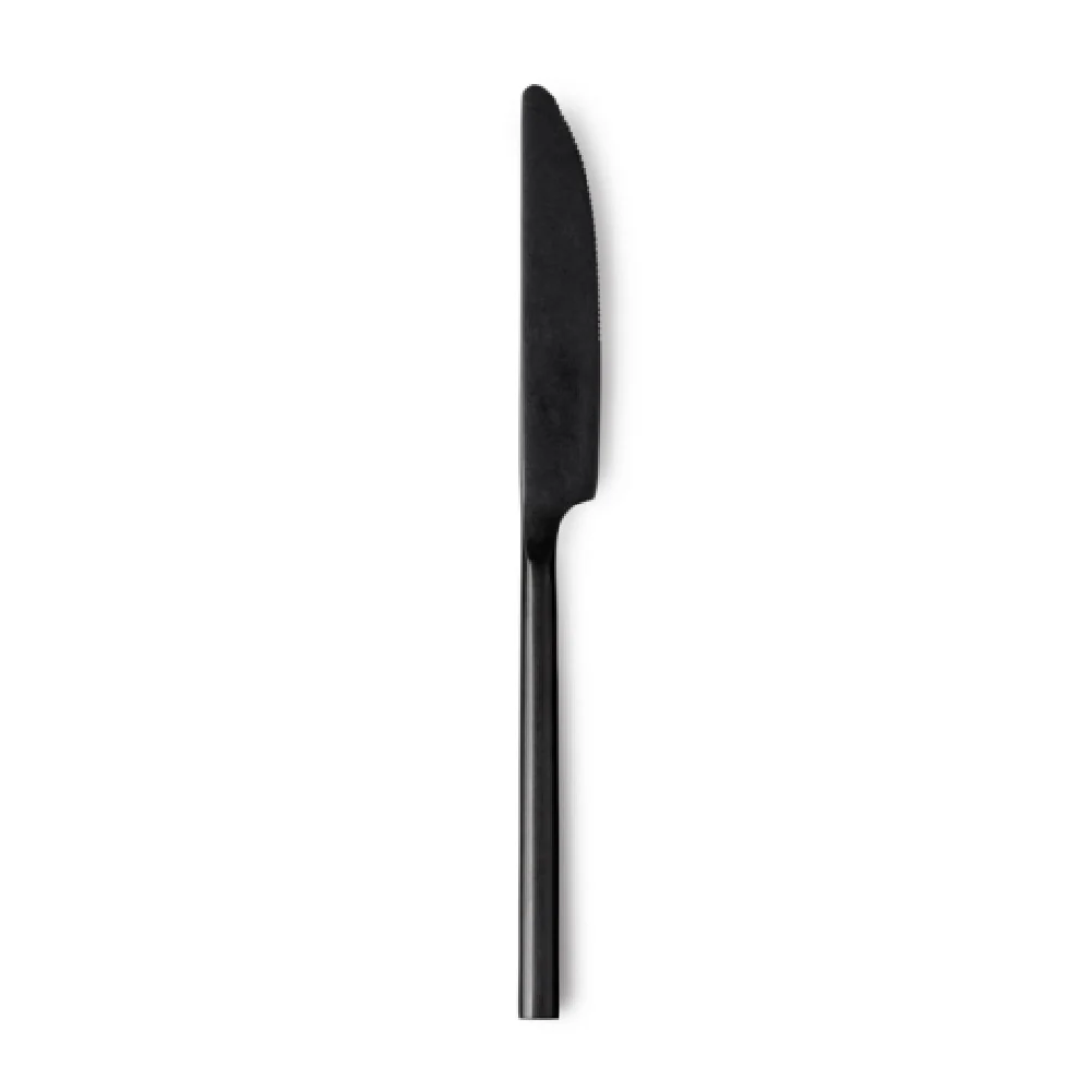 Arc Cardinal FP323 8.8125 Inch Blade 0.787 Inch Handle Dinner Knife 13/0 Stainless Steel