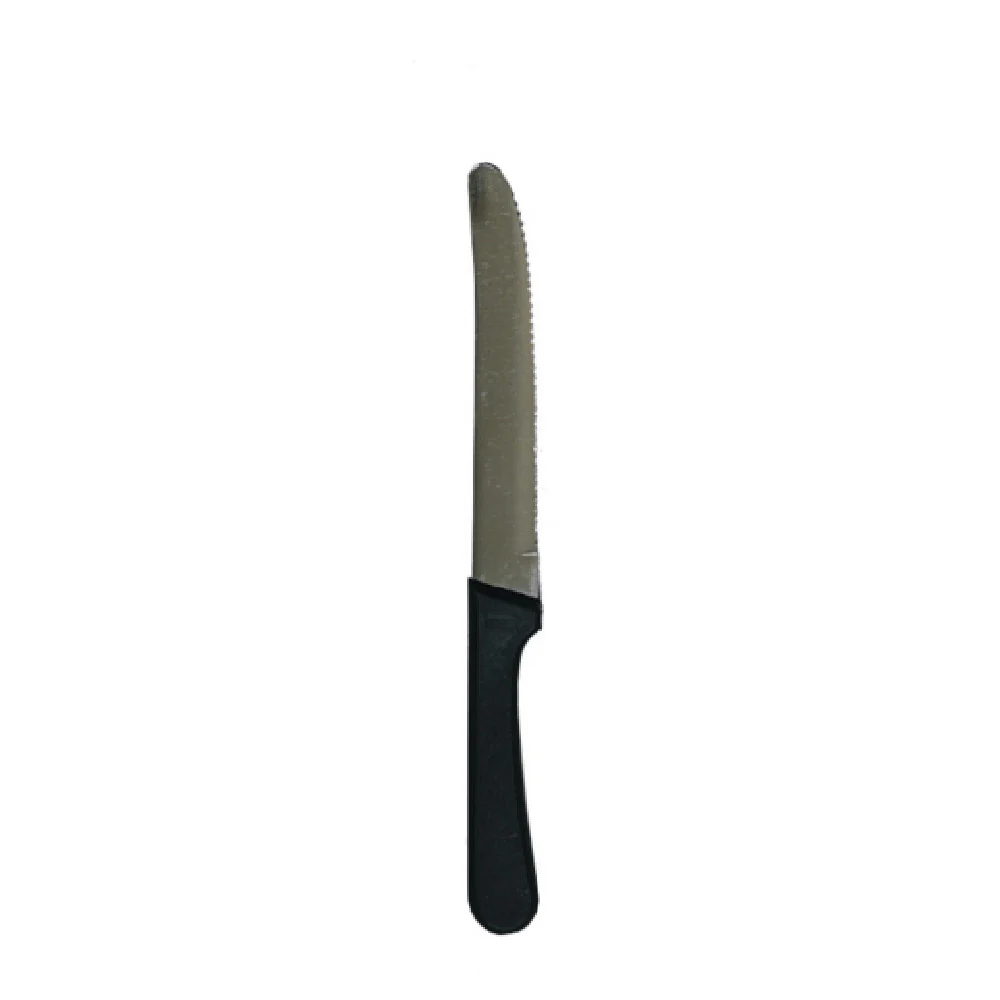 1880 Hospitality SK-20P 2.9 Inch Blade 9 Inch Handle Steak Knife Rounded Tip Stainless Steel Plastic Handle 1880 Hospitality SK-20P 2.9 Inch Blade 9 Inch Handle Steak Knife Rounded Tip Stainless Steel Plastic Handle