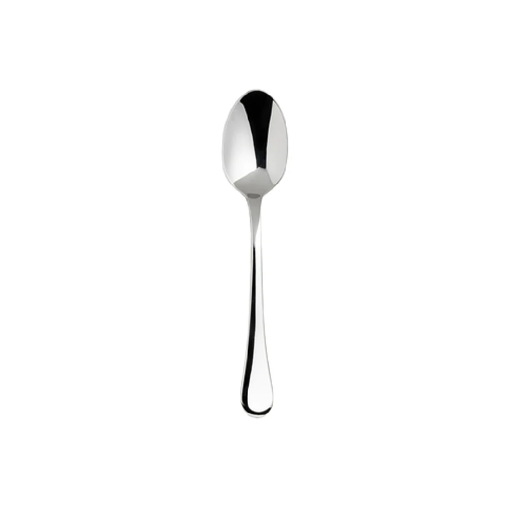 Steelite 5739SX061 9 Inch Serving Spoon Stainless Steel with Folio Flatware