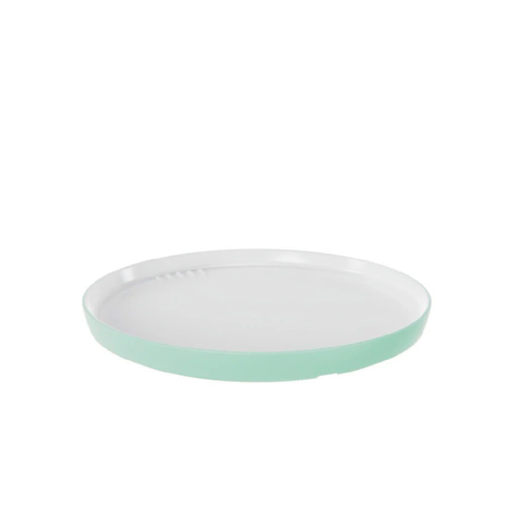 BauscherHepp TMG50016 10 Inch Large Plate Mint Melamine Smoother Finish