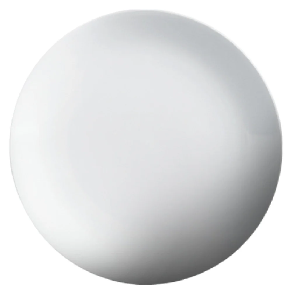 Cameo China 210-101N 10-1/4 Inch Diameter Coupe Plate Ceramic White