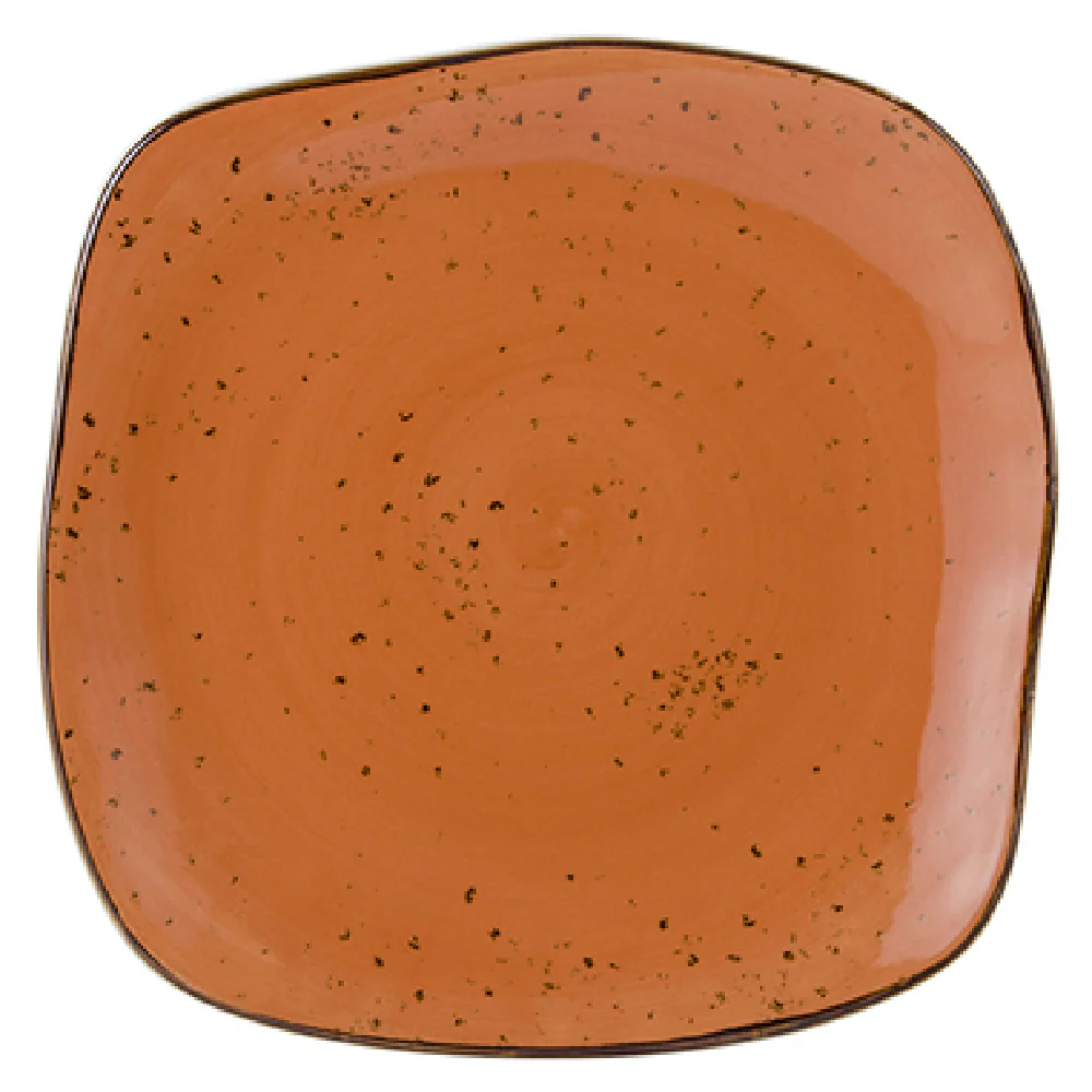 Tuxton GGC-502 11 Inch Square Plate Lead-Free Dishwasher Safe Vitrified Porcelain Tuxton GGC-502 11 Inch Square Plate Lead-Free Dishwasher Safe Vitrified Porcelain