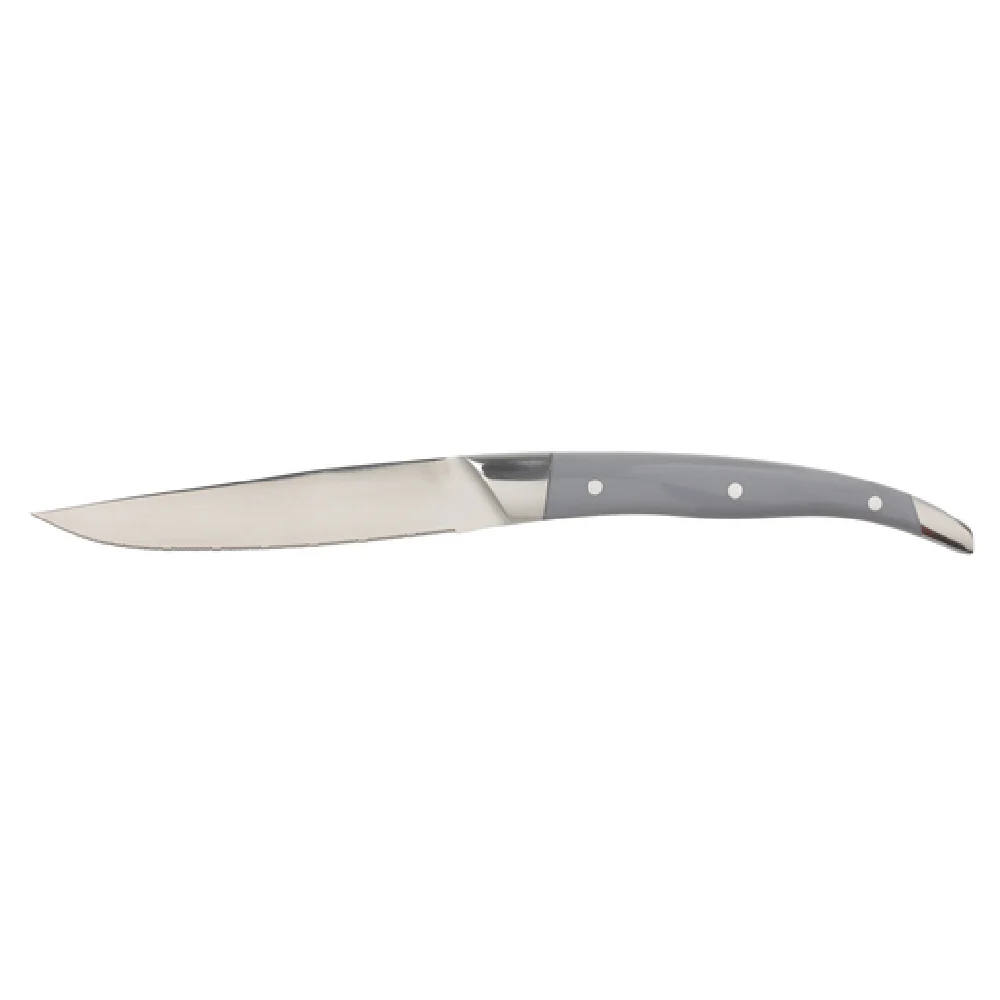Arc Cardinal FJ509 9.625 Inch Blade 0.787 Inch Handle Steak Knife Acrylic Arc Cardinal FJ509 9.625 Inch Blade 0.787 Inch Handle Steak Knife Acrylic