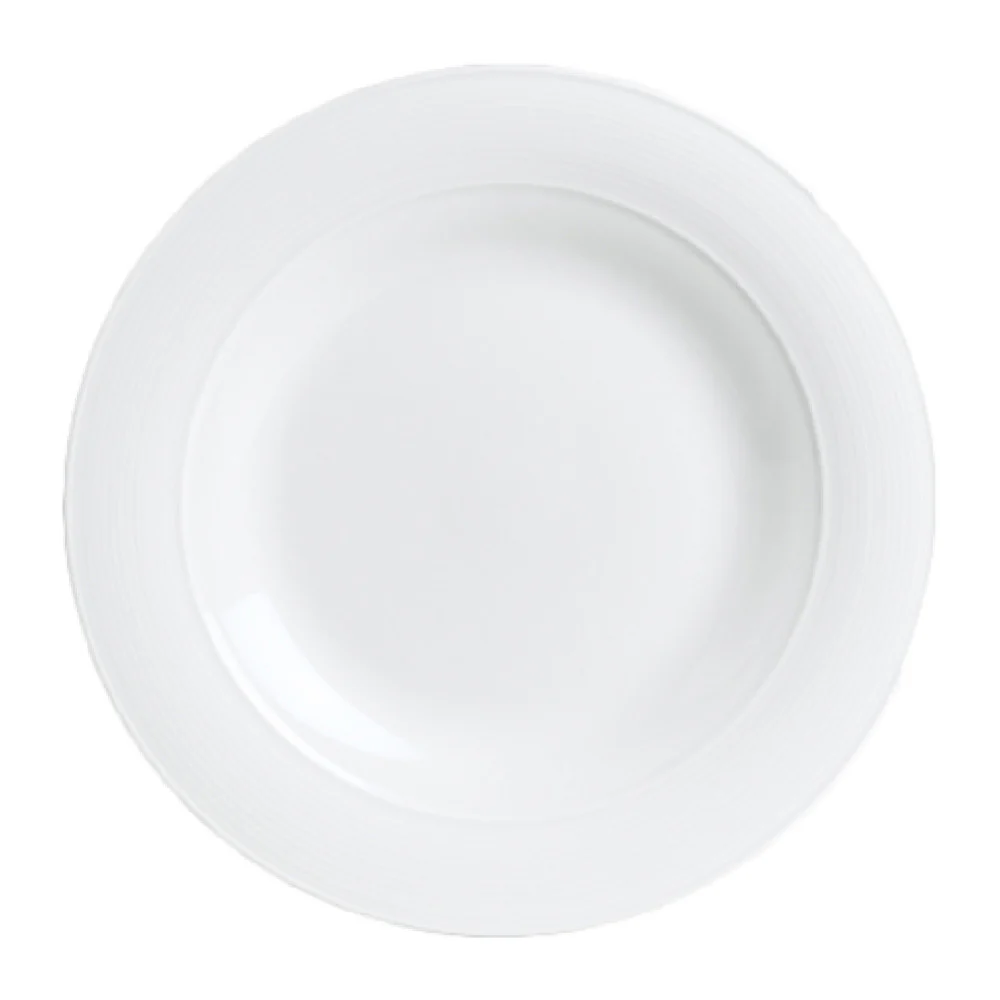Steelite 6300P010 10 Inch Round Flat Rim Plate Cool Blue-White Porcelain Steelite 6300P010 10 Inch Round Flat Rim Plate Cool Blue-White Porcelain