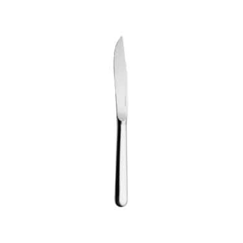 BauscherHepp 01.0045.1550 9-1/16 Inch Hollow Handle Steak Knife with 18/10 Stainless Steel BauscherHepp 01.0045.1550 9-1/16 Inch Hollow Handle Steak Knife with 18/10 Stainless Steel