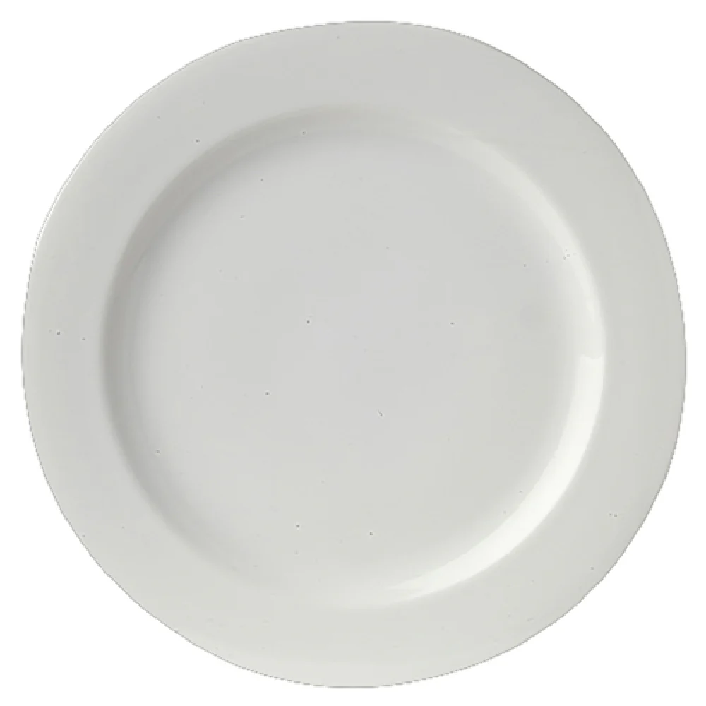 Steelite 61101ST0253 10 Inch Plate Avalon Round Royal Porcelain with elegant design