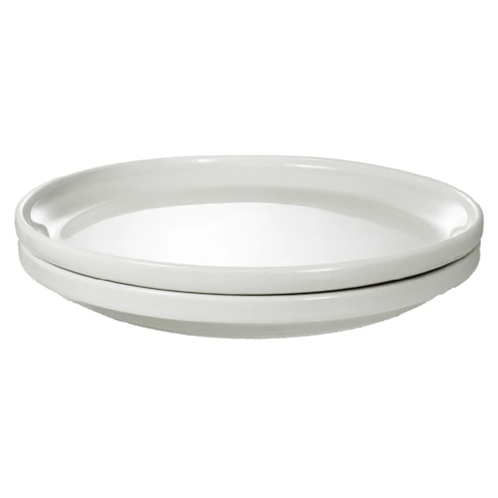 International Tableware TN-100 10-1/4 Inch Diameter Coupe Plate Porcelain Lead Free