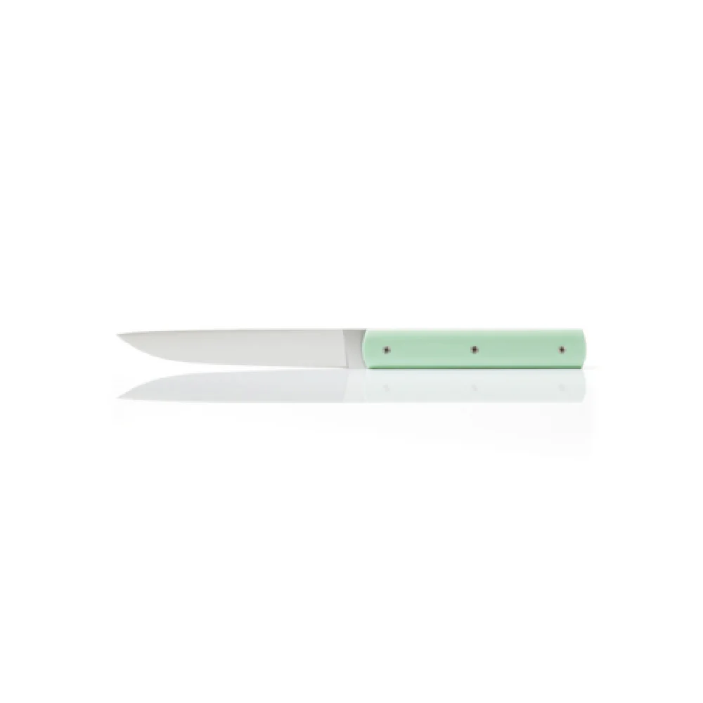 Revol 206888 21cm 18/10 Stainless Steel Knife Polyacetal Handle Pistachio Green Revol 206888 21cm 18/10 Stainless Steel Knife Polyacetal Handle Pistachio Green