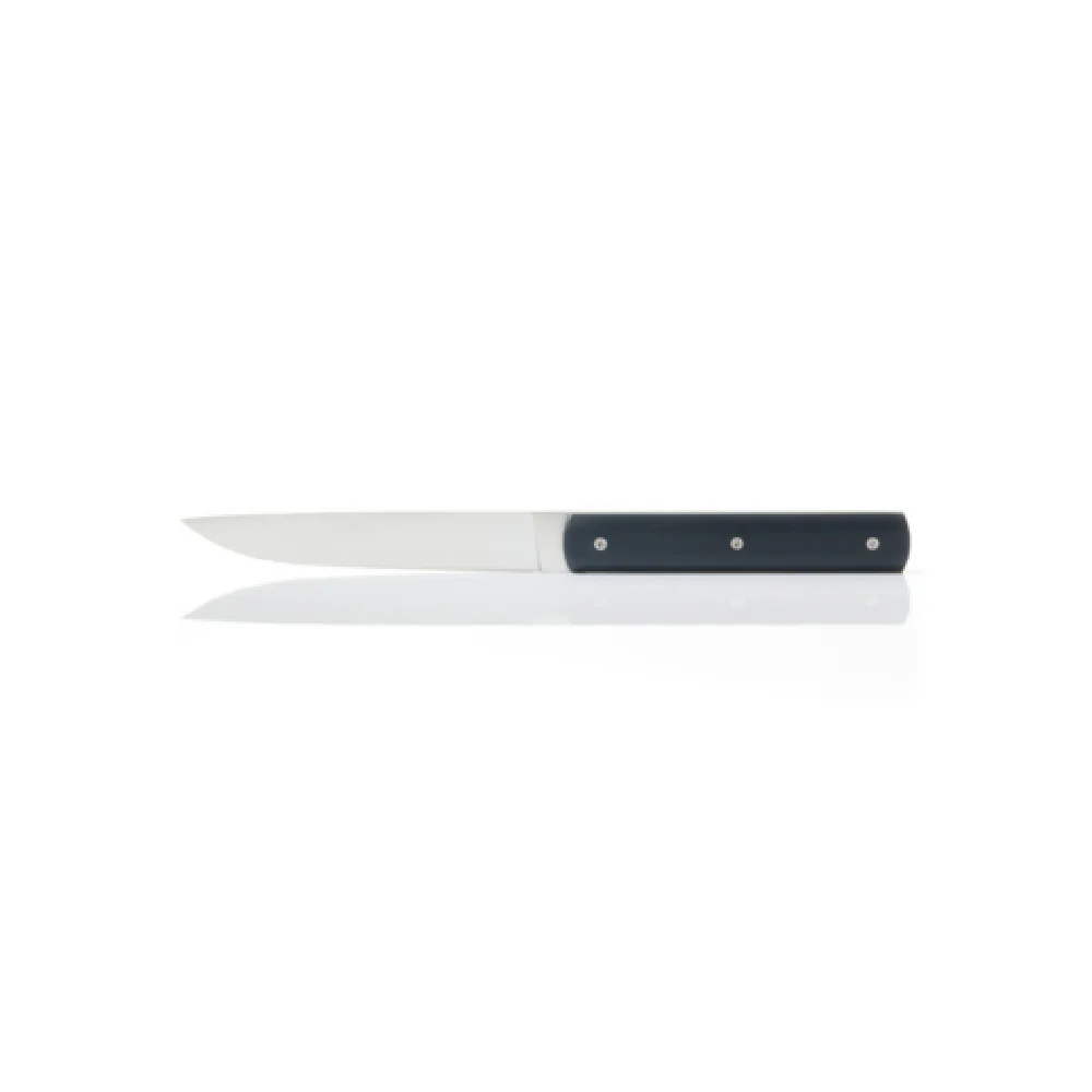 Revol 207888 21.5 cm 18/10 Stainless Steel Non Serrated Table Knife Dark Grey Handle Revol 207888 21.5 cm 18/10 Stainless Steel Non Serrated Table Knife Dark Grey Handle