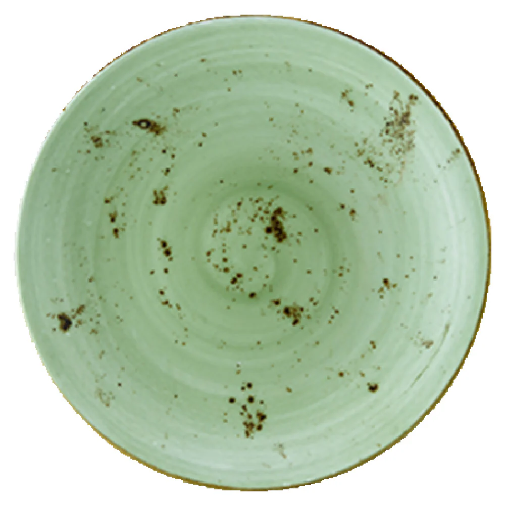 Vertex China LTJ-C26 36 Oz Pasta Bowl 10 Inch Round Coupe Hand Painted Terra Jade Vertex China LTJ-C26 36 Oz Pasta Bowl 10 Inch Round Coupe Hand Painted Terra Jade