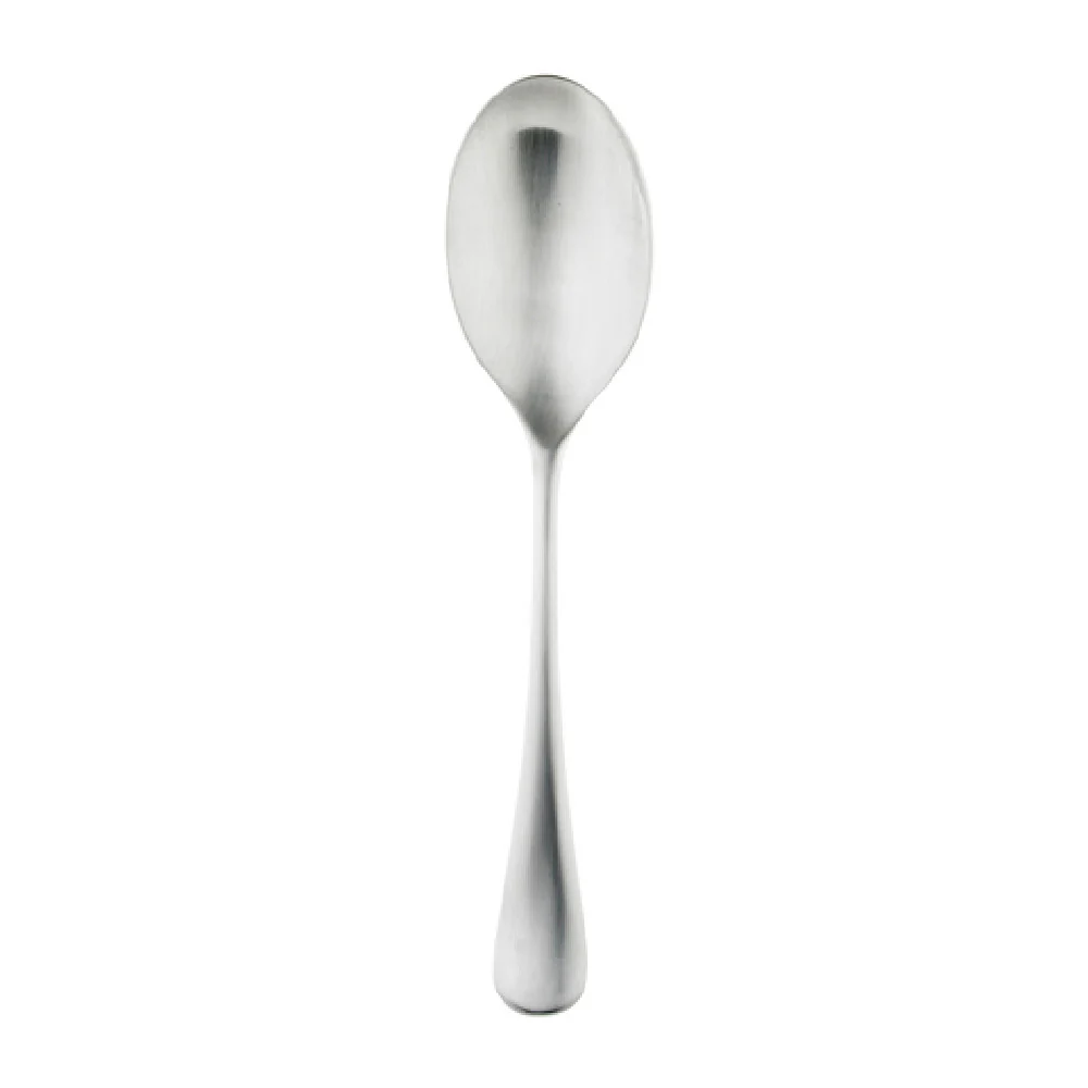 Steelite 5990SX061 9 Inch Serving Spoon Radford Satin 18/10 Stainless Steel