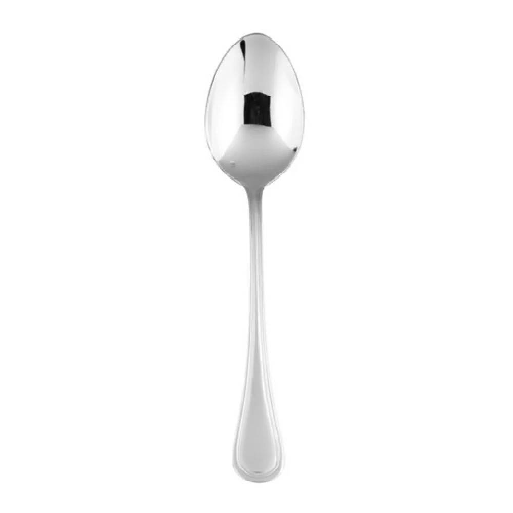 Fortessa 1.5.143.00.027 9.3 Inch Filet Serving Spoon Dishwasher Safe Stainless Steel