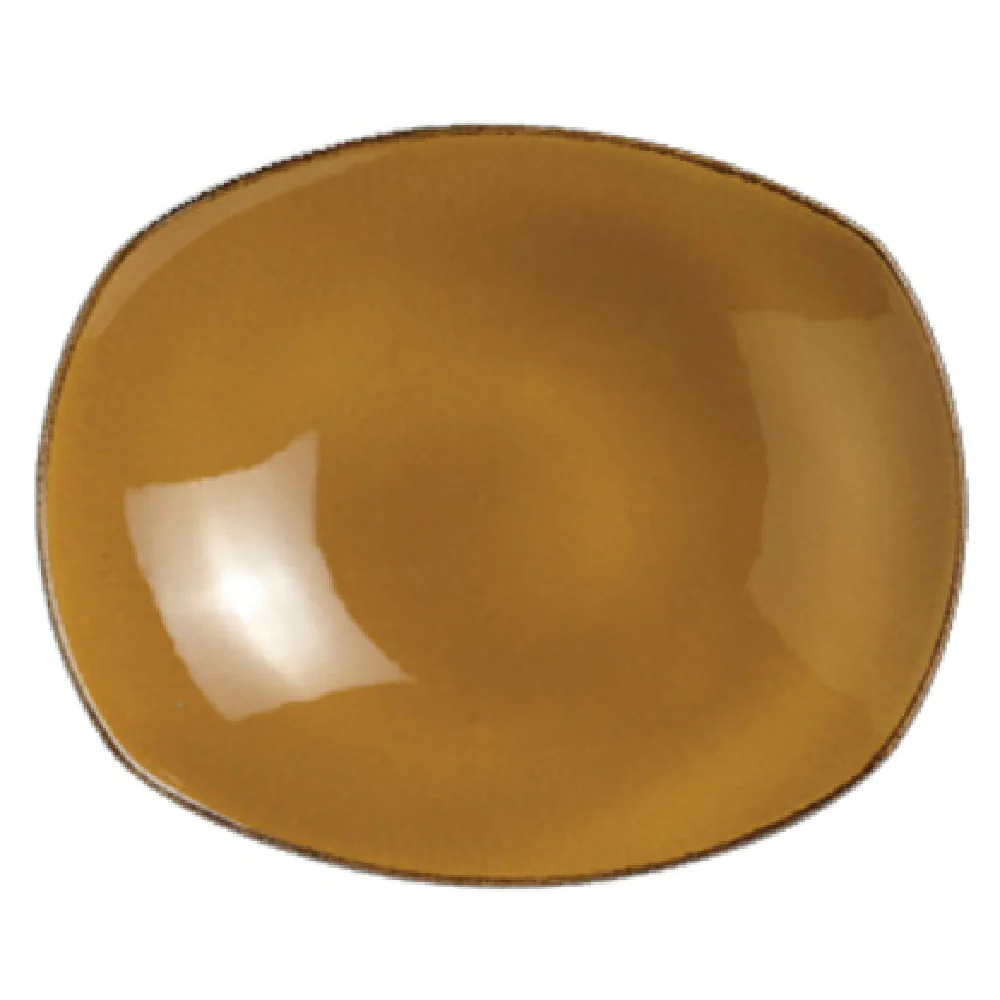 Steelite 11210586 10 Inch Diameter Vitrified China Zest Platter Round
