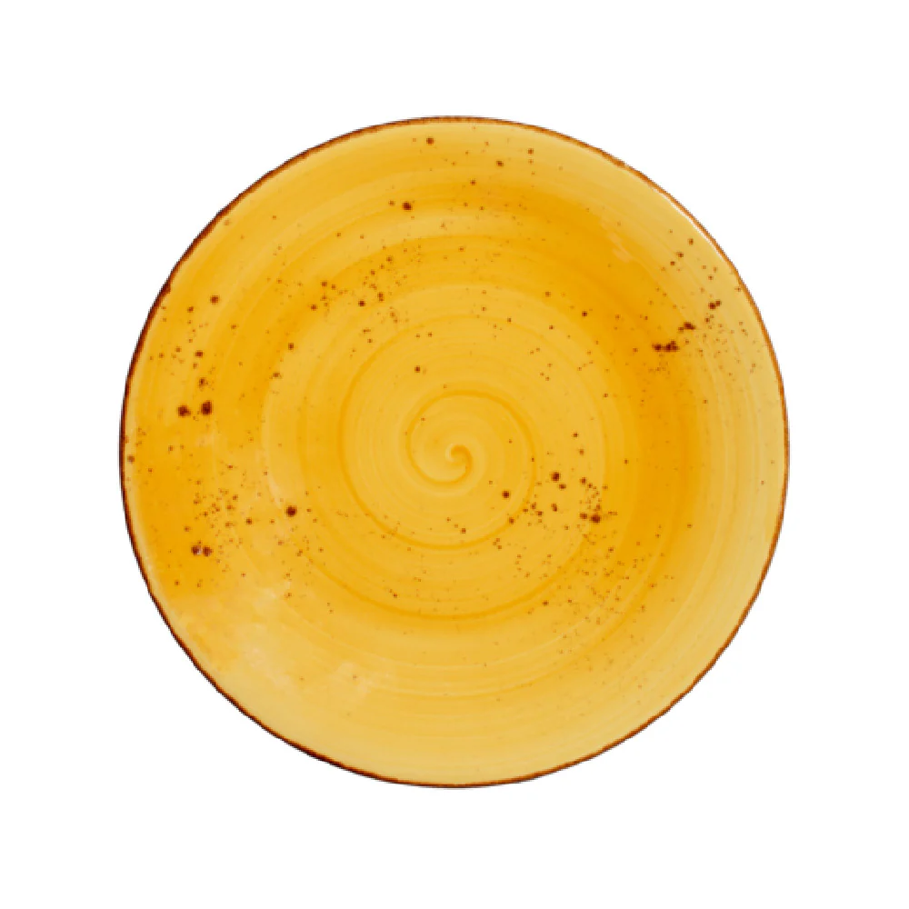 Vertex China LTR-C21 12 Inch Coupe Plate Round Hand Painted China