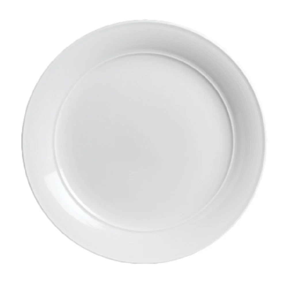 Steelite 6300P303 9.5 Inch Banquet Rim Plate Porcelain Round Cool Blue White