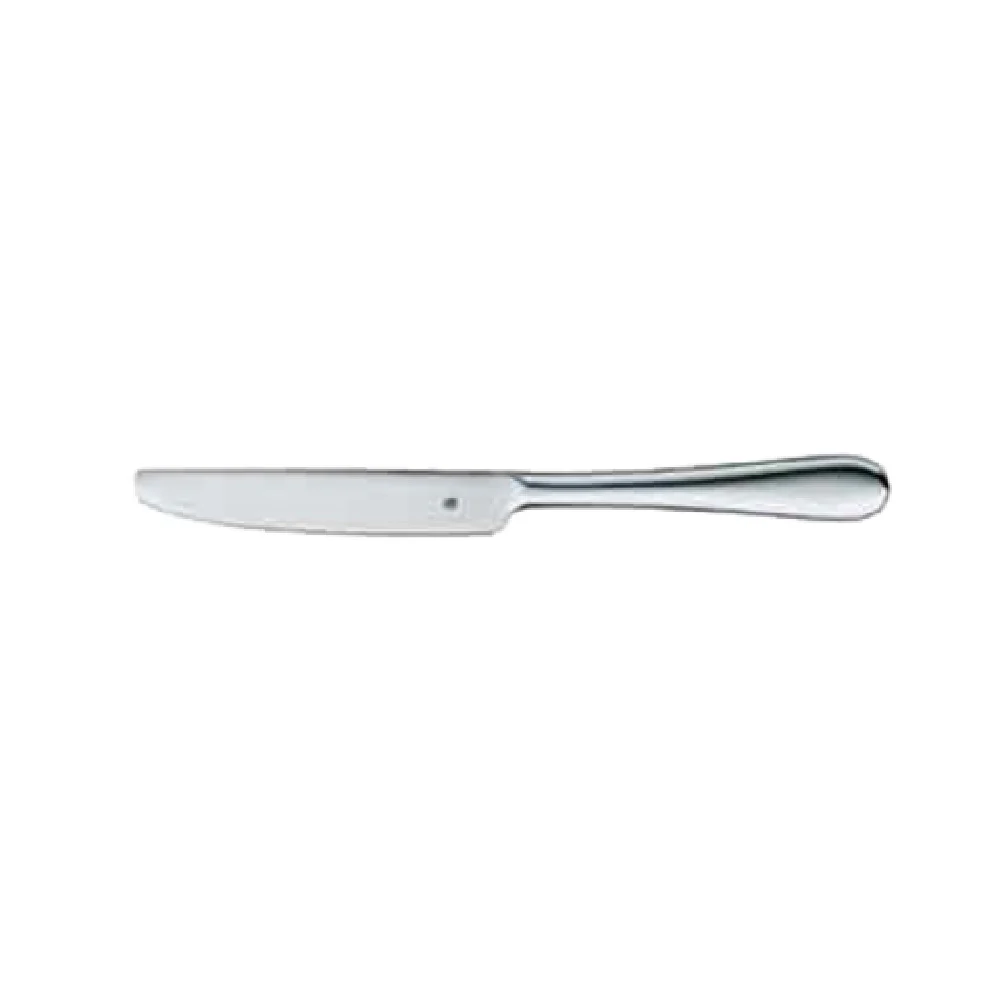BauscherHepp 12.1903.6049 9-1/2 Inch Monobloc Dinner Knife 18/10 Stainless Steel