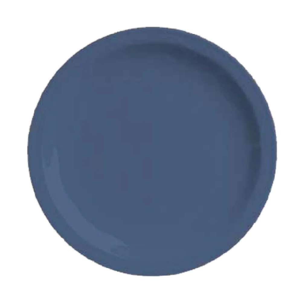 Libbey 903032010 9 Inch Diameter Round Plate Fully Vitrified Porcelain Blueberry