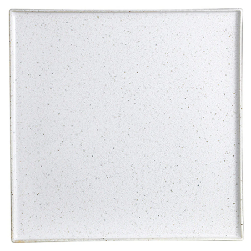 Steelite 6415MY016 11 Inch Square Tray Wabi Sabi Lichen Porcelain Steelite 6415MY016 11 Inch Square Tray Wabi Sabi Lichen Porcelain