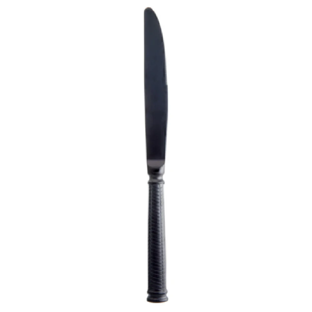 Fortessa 1.6B.134.00.005 9.6 Inch Blade Dinner Knife Brushed Stainless Steel